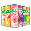 中国台湾绿力系列果味饮料多种果味醇厚口感 野餐聚餐必备 020577/025272/025273/025274/025275/025276 商品缩略图0