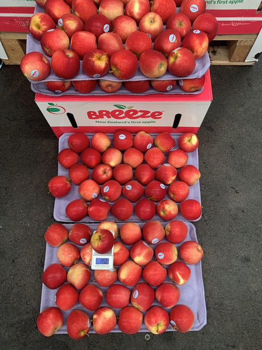 新西兰进口微风苹果 商品图1
