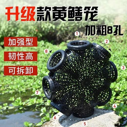 捕鱼笼捕鳝神器鳝鱼笼子塑料鱼虾笼自制倒须抓鱼鳝网笼专用 商品图0