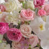 《春之梦境》蝴蝶兰粉雪山玫瑰粉白色系大号抱抱桶 商品缩略图8