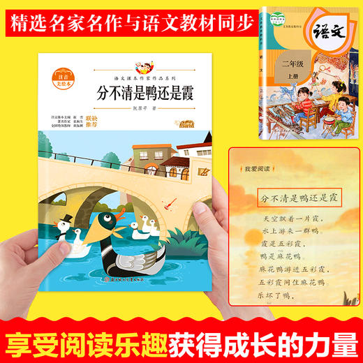 语文课本作家作品系列 《分不清是鸭还是霞》 非塑封 商品图2