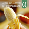 【34.9元5斤】【小胖蕉/苹果蕉】香蕉 福建产区  新一季自然成熟 5斤/箱（1-2串  20-25根） 商品缩略图0