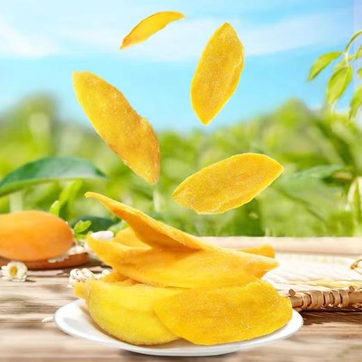 南国金煌芒果干158g 商品图3