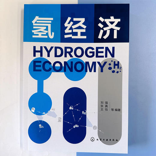 氢经济 商品图2