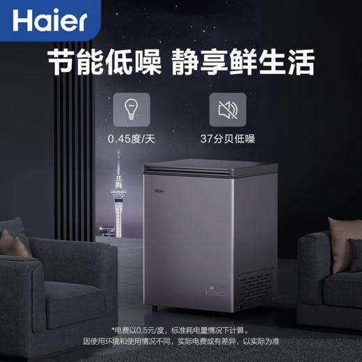 海尔（Haier）冷柜 BC/BD-142GHEPC 商品图12