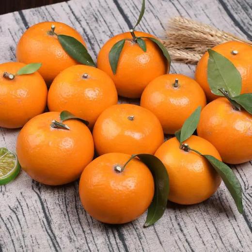 沃柑  500g 商品图0