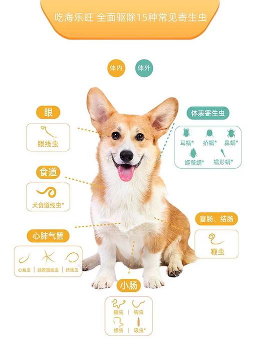 【犬用】海乐旺狗狗驱虫药体内外一体同驱6颗装 商品图1