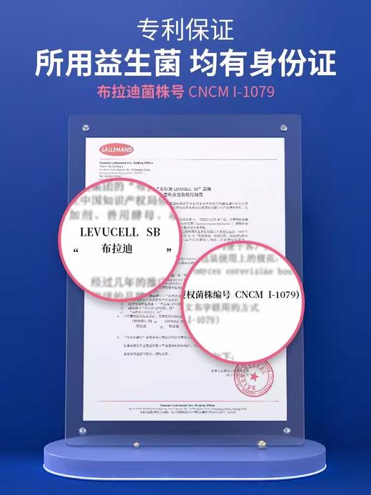 MAG布拉迪益生菌猫咪/狗狗专用 宠物猫用益生菌调理肠胃 改善软便腹泻 法国原装进口 商品图3
