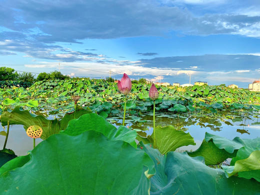 武汉慢姑娘星辰拾光别墅轰趴 商品图11