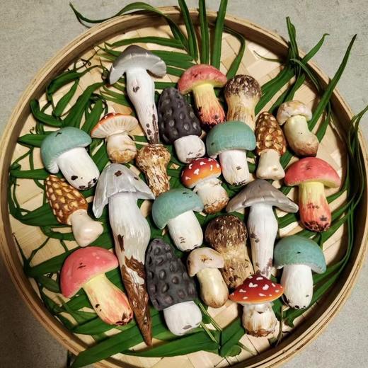 七口实验室丨毒蝇伞冰箱贴 商品图0