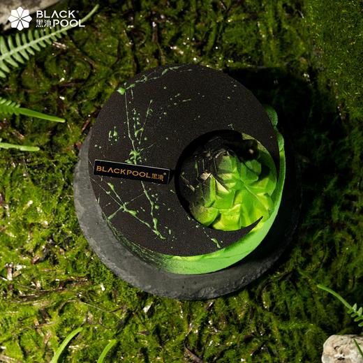 【白羊座·踏青山】椰子青柠燕麦慕斯 商品图3