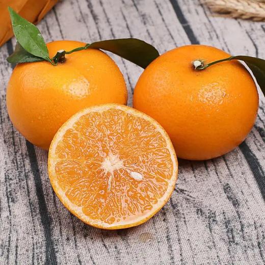 沃柑  500g 商品图1