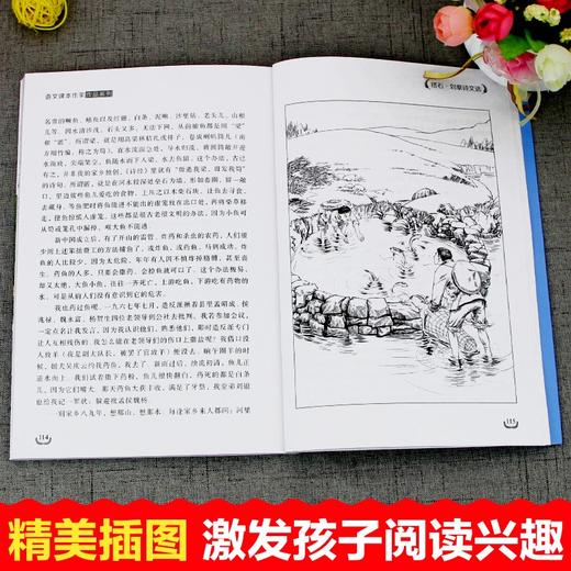 语文课本作家作品系列 《搭石》 非塑封 商品图4