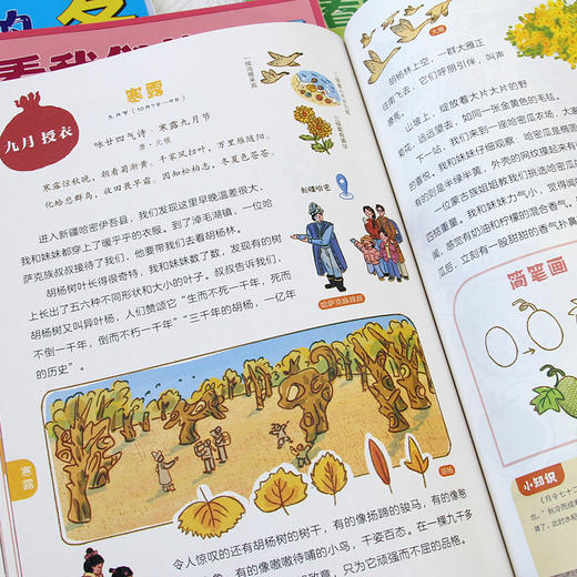 看看我们的二十四节气（全4册）赠 节气花贴纸 商品图6