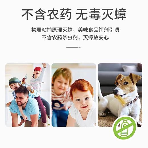 【特价秒杀】【2026-6-30】安速小强恢恢蟑螂屋（5枚装） 商品图1