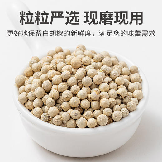 方家铺子 白胡椒粒60g/瓶装 商品图11