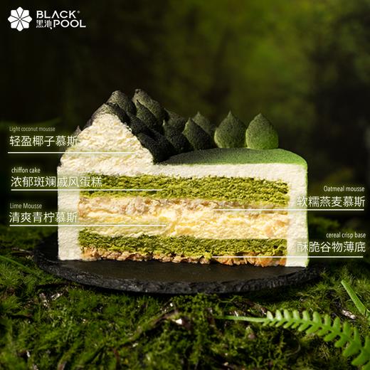 【白羊座·踏青山】椰子青柠燕麦慕斯 商品图5