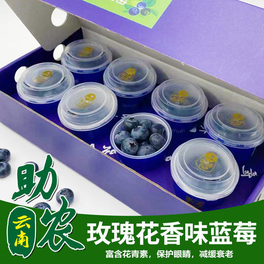 云南玫瑰花香味大蓝莓（60g*8） 商品图0