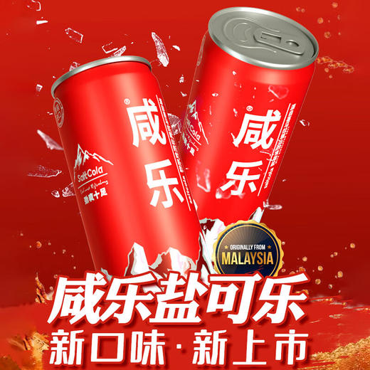 马来西亚咸乐盐可乐320ml/020182 碳酸饮料源自喜马拉雅山的食用盐 商品图0