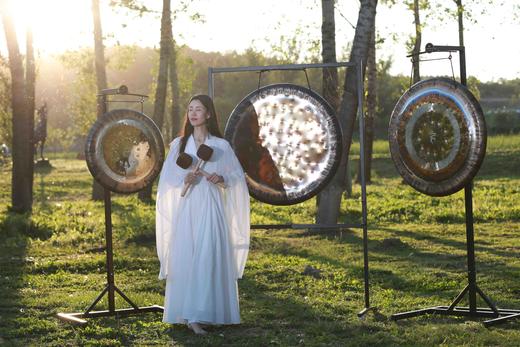 EX-059 八度宇宙共振中国音 关雪 商品图0