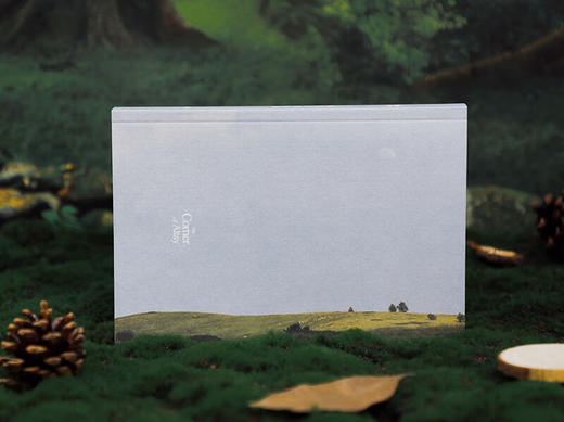 阿勒泰的角落  李娟作品 商品图9