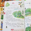 看看我们的二十四节气（全4册）赠 节气花贴纸 商品缩略图5