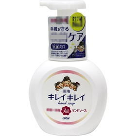 狮王 泡沫洁净洗手液 （淡香型） 瓶装250ml *2瓶