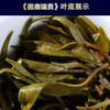 2024春茶-吉顺号私家茶园 困鹿山古树普洱茶春茶生饼357克/饼（买7送1） 商品缩略图4