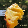 海南金钻凤梨 单果1.2-2斤以上 当季新鲜海南热带水果手撕菠萝 商品缩略图3