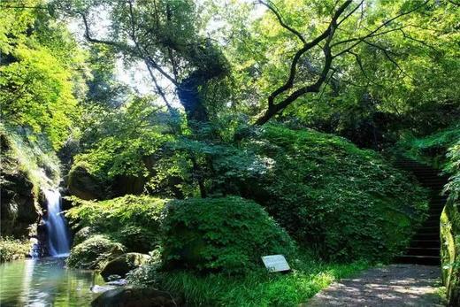 千岛湖、水墨宏村、九华天池、船游天池、休闲纯玩三日游 商品图1