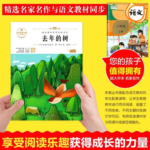 语文课本作家作品系列 《去年的树》 非塑封 商品图2