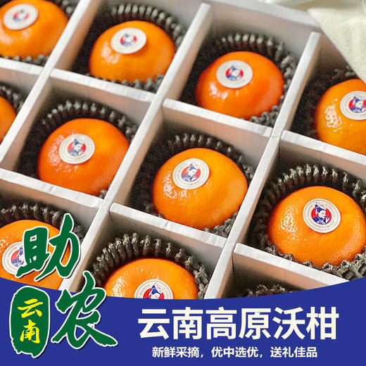 云南高原沃柑（80#-24枚装） 商品图0