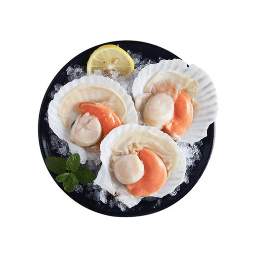 暄贻半壳扇贝 850g 商品图1