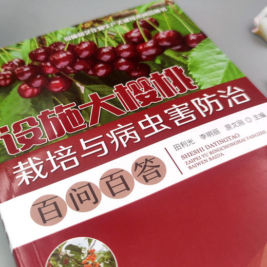 设施大樱桃栽培与病虫害防治百问百答 商品图1