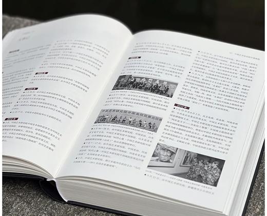 特别推荐！！！《中国画院志》，精装，16开，全8册，孙永主编，浙江人民美术出版社2023年6月一版一印，4216页，定价3800，售价1280元 商品图8