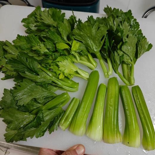 云南高原水果芹菜【360克】 商品图3