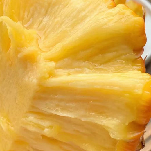 海南金钻凤梨 单果1.2-2斤以上 当季新鲜海南热带水果手撕菠萝 商品图7