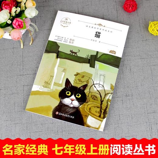 语文课本作家作品系列 《猫》 非塑封 商品图1