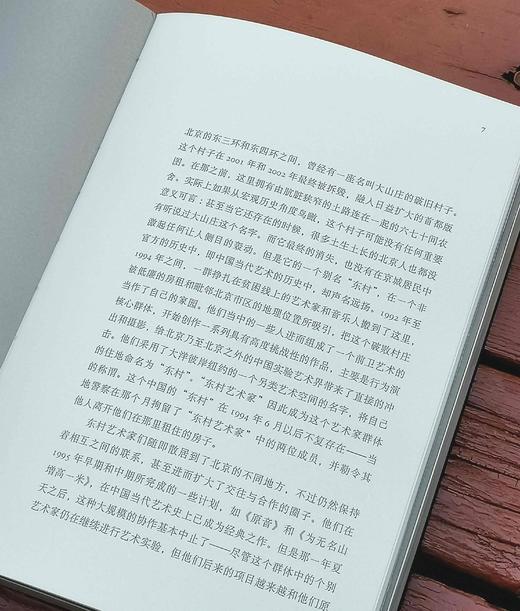 《荣荣的东村：中国实验艺术的瞬间》，32开，平装，巫鸿著，上海人民出版社2024年一版二印，279页，定价79，售价：68元。 商品图5