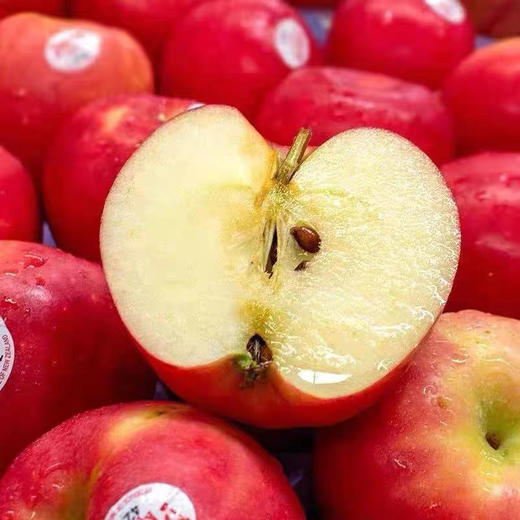 新西兰进口微风苹果 商品图0