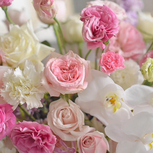 《春之梦境》蝴蝶兰粉雪山玫瑰粉白色系大号抱抱桶 商品图2