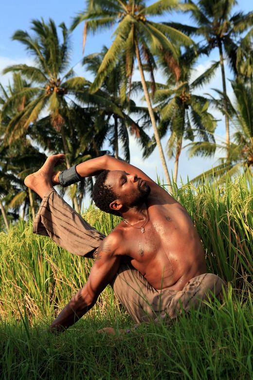 EX-020 拥抱内心和谐：小蜜蜂调息法 Embracing Inner Harmony with Bhramari Pranayama Fela Adebiyi 商品图2