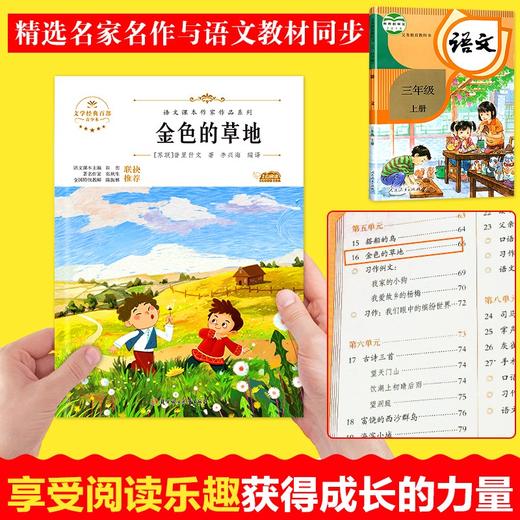 语文课本作家作品系列 《金色的草地》 非塑封 商品图1