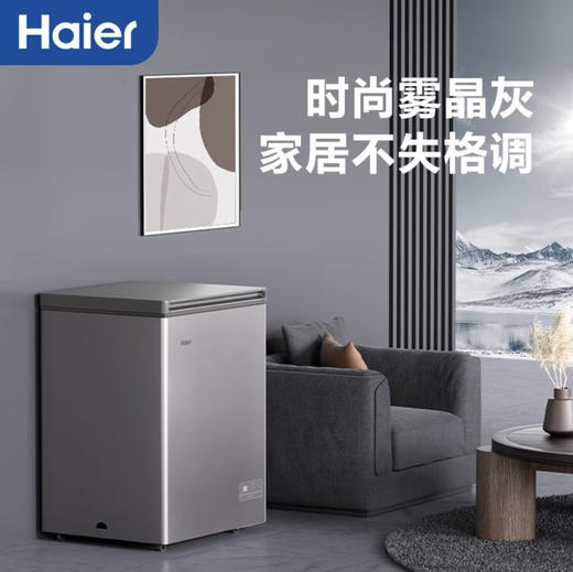 海尔（Haier）冷柜 BC/BD-142GHEPC 商品图10