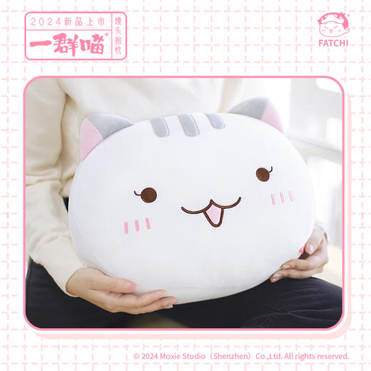 萌想诚品【馒头抱枕】历史喵抱枕如果历史是一群喵周边喵咪抱枕 商品图2