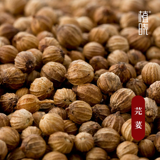 植晓 芫荽籽精油 5ml 商品图1