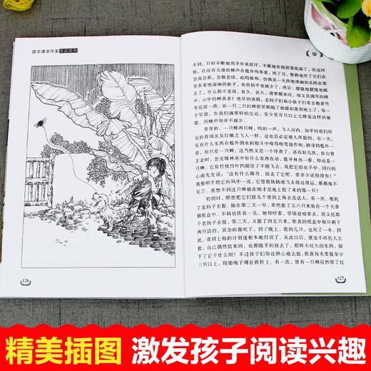 语文课本作家作品系列 《猫》 非塑封 商品图3