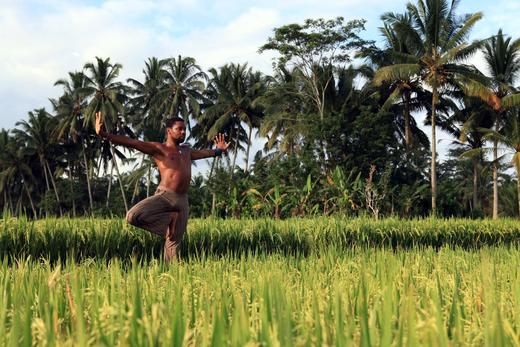 EX-020 拥抱内心和谐：小蜜蜂调息法 Embracing Inner Harmony with Bhramari Pranayama Fela Adebiyi 商品图0