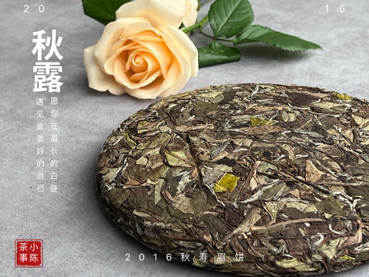 【珍藏级8年陈老白茶】2016深秋寿眉饼《秋露》，软、糯、汁液横流，诸香齐聚，尽显老白茶之岁月风华 商品图2