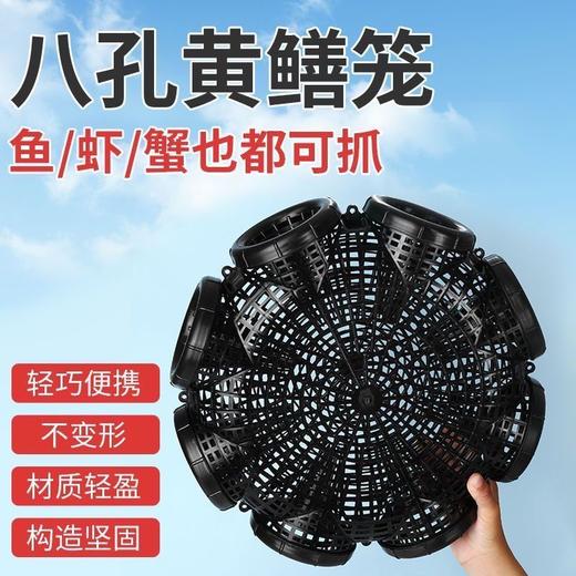 捕鱼笼捕鳝神器鳝鱼笼子塑料鱼虾笼自制倒须抓鱼鳝网笼专用 商品图8